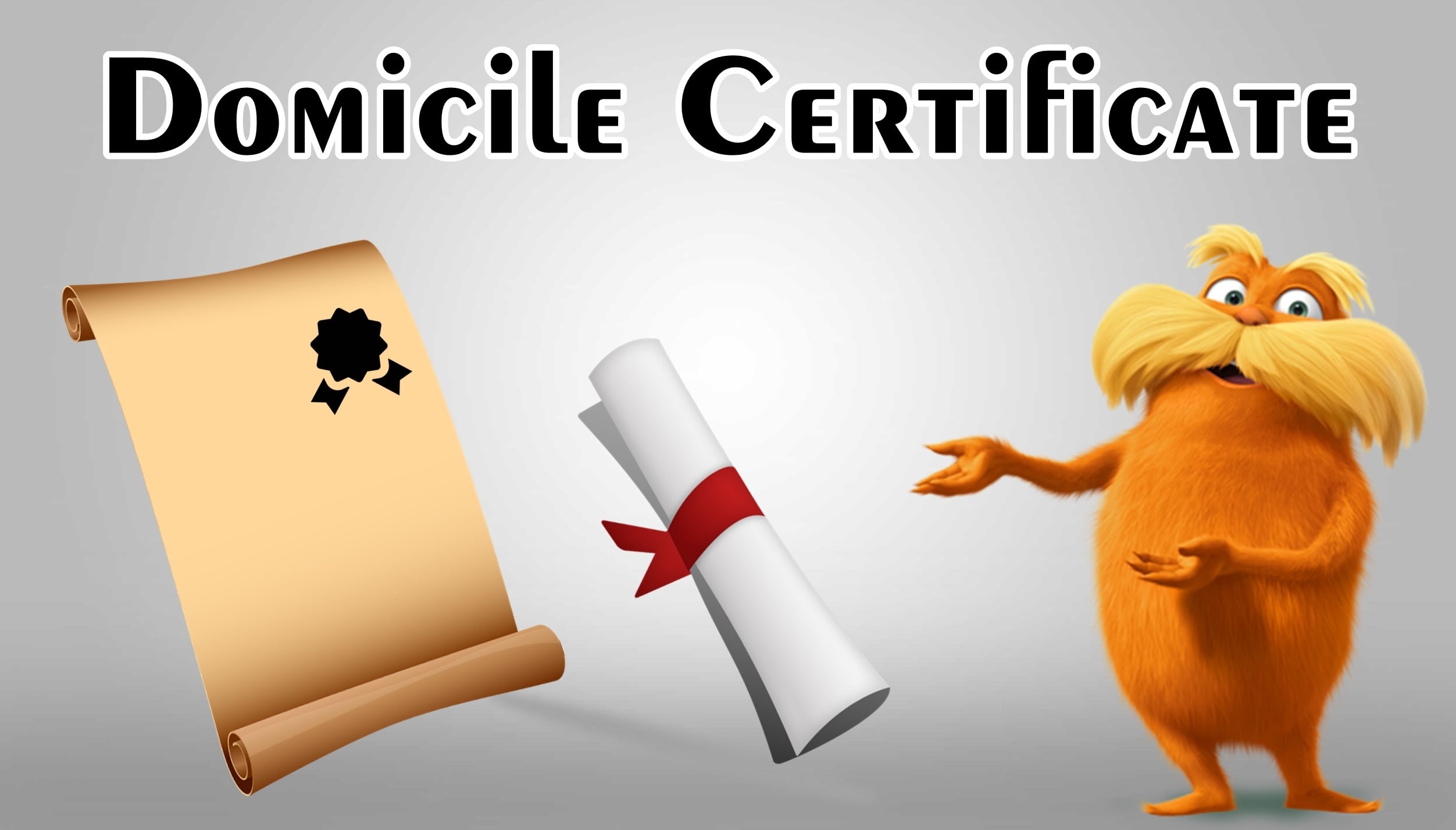 a-complete-guide-on-what-is-domicile-certificate